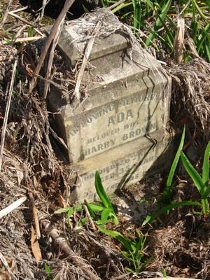 Picture of Ormond cemetery, block ORM1, plot 113.
