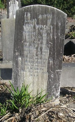 Picture of Ormond cemetery, block ORMM, plot 231.