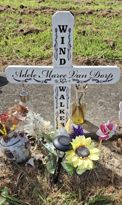 Picture of Patutahi cemetery, block PATD, plot 70.