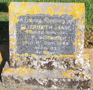 Picture of PATUTAHI cemetery, block PATE, plot 84.