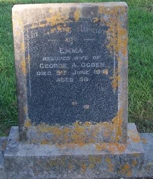 Picture of Patutahi cemetery, block PATE, plot 91.