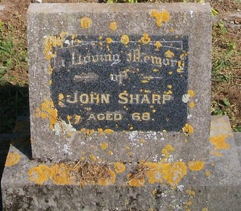 Picture of Patutahi cemetery, block PATF, plot 42.