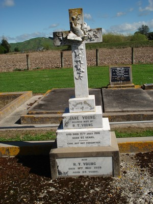 Picture of Patutahi cemetery, block PATG, plot 17.