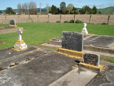 Picture of Patutahi cemetery, block PATG, plot 19.