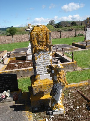 Picture of PATUTAHI cemetery, block PATG, plot 29.