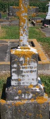 Picture of PATUTAHI cemetery, block PATG, plot 55.