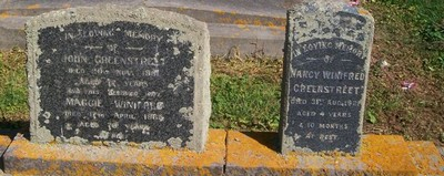 Picture of Patutahi cemetery, block PATH, plot 50A.