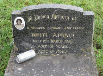 Picture of Rakauroa cemetery, block RAK4, plot 4.