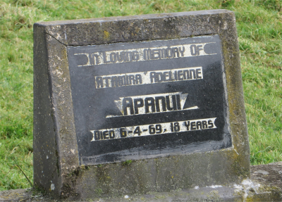 Picture of RAKAUROA cemetery, block RAK4, plot 6.