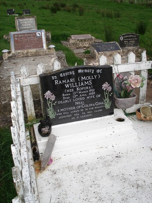 Picture of RAKAUROA cemetery, block RAK6, plot 6.