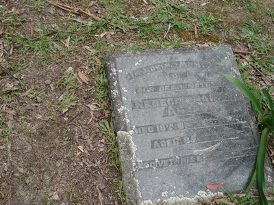 Picture of Ruatoria cemetery, block RUAA, plot 10.