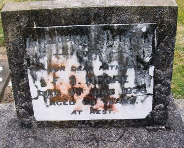 Picture of TARUHERU cemetery, block 11, plot 20.