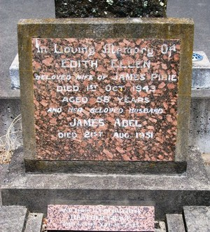 Picture of TARUHERU cemetery, block 16, plot 23.