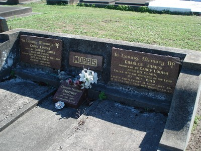 Picture of TARUHERU cemetery, block 16, plot 27B.