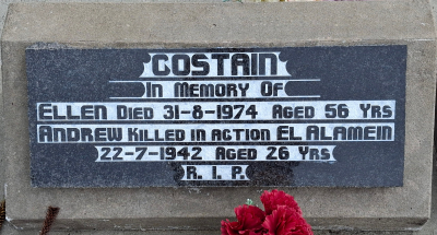 Picture of Taruheru cemetery, block 16, plot 33.