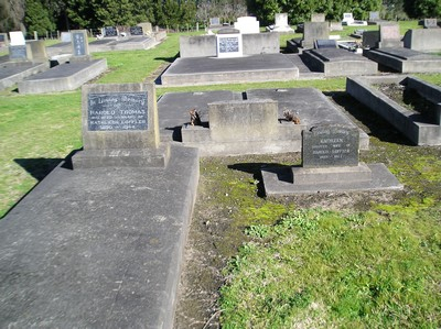Picture of Taruheru cemetery, block 17, plot 7.