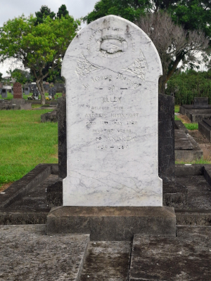 Picture of TARUHERU cemetery, block 1, plot 30.