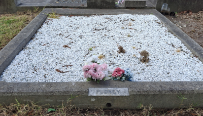 Picture of Taruheru cemetery, block 20, plot 189.