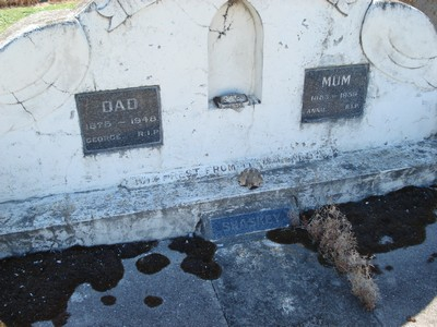 Picture of Taruheru cemetery, block 21, plot 222.