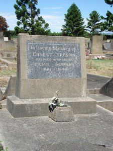 Picture of Taruheru cemetery, block 21, plot 238.