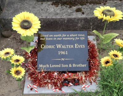 Picture of TARUHERU cemetery, block 21, plot 271.
