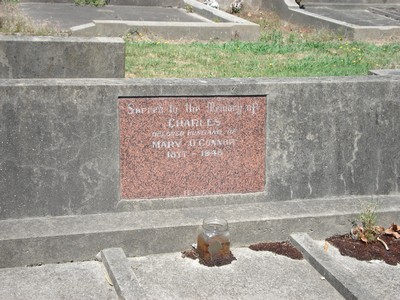 Picture of Taruheru cemetery, block 21, plot 294.