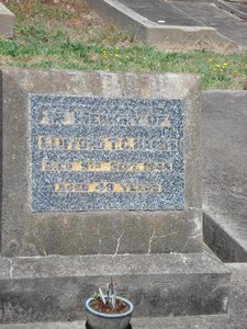 Picture of Taruheru cemetery, block 21, plot 296.