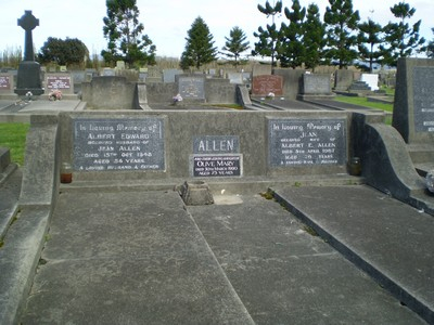 Picture of Taruheru cemetery, block 21, plot 313.