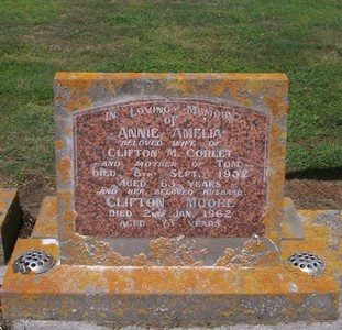 Picture of Taruheru cemetery, block 22, plot 196.