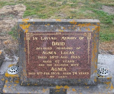 Picture of TARUHERU cemetery, block 22, plot 244.