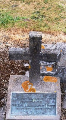 Picture of Taruheru cemetery, block 22, plot 255.
