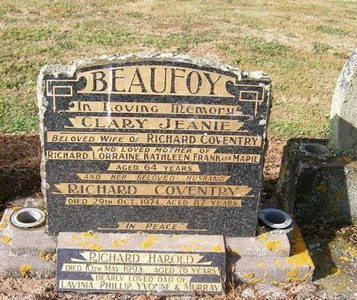 Picture of TARUHERU cemetery, block 22, plot 338.