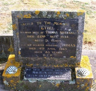 Picture of TARUHERU cemetery, block 22, plot 363.