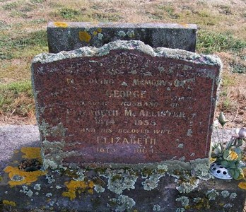 Picture of TARUHERU cemetery, block 22, plot 368.