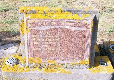 Picture of Taruheru cemetery, block 22, plot 379.