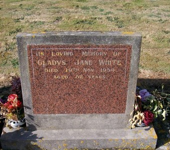 Picture of Taruheru cemetery, block 22, plot 390.