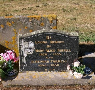 Picture of Taruheru cemetery, block 22, plot 398.