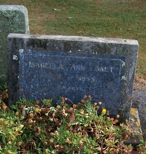 Picture of Taruheru cemetery, block 22, plot 495.