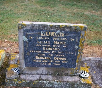 Picture of Taruheru cemetery, block 22, plot 501.