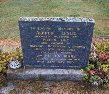 Picture of TARUHERU cemetery, block 22, plot 507.