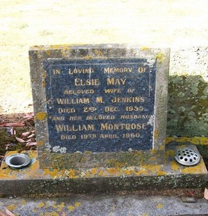 Picture of Taruheru cemetery, block 22, plot 536.