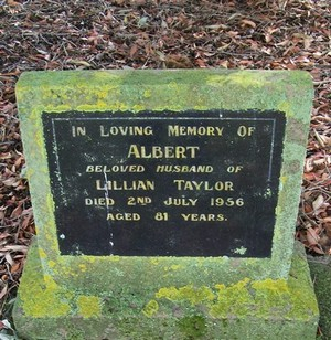 Picture of Taruheru cemetery, block 22, plot 547.