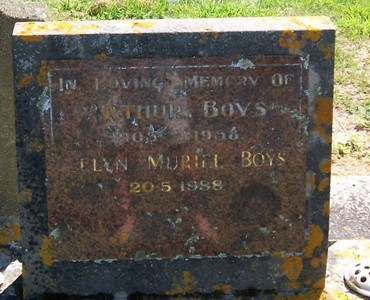 Picture of Taruheru cemetery, block 25, plot 318.