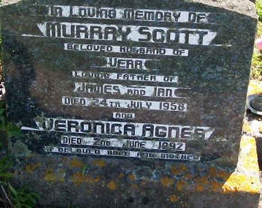 Picture of Taruheru cemetery, block 25, plot 322.