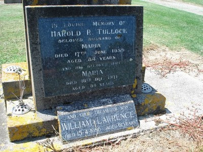 Picture of TARUHERU cemetery, block 25, plot 395.