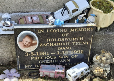 Picture of Taruheru cemetery, block 25, plot 44.