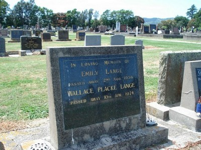 Picture of Taruheru cemetery, block 25, plot 61.