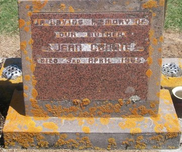 Picture of Taruheru cemetery, block 26, plot 204.