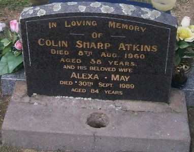 Picture of Taruheru cemetery, block 27, plot 119.