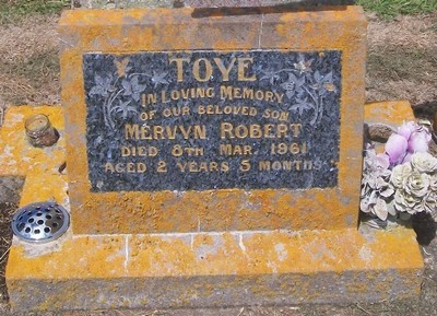 Picture of Taruheru cemetery, block 27, plot 177.